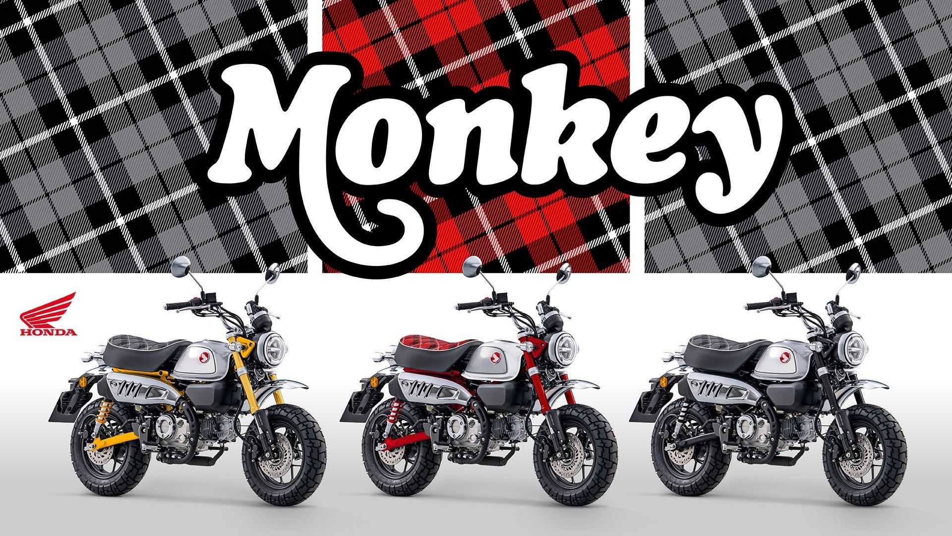 2021 honda monkey 125